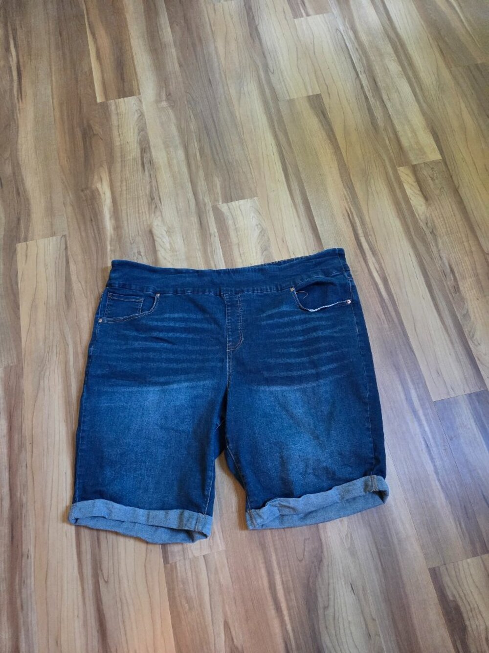 Plus Size 3X Terra Sky Blue Jean Shorts